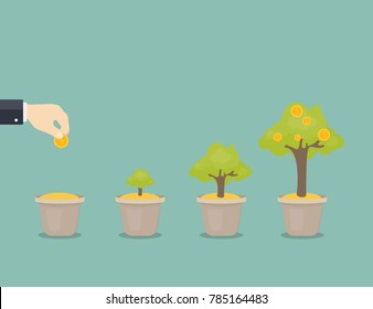 Growing money tree. Stages of growing. Coin seed