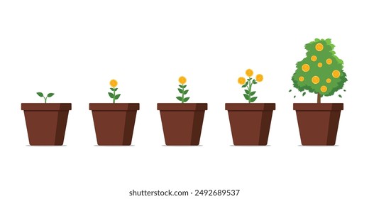 Growing money tree step by step on a white background. Financial concept and growth of business stocks. Saving investment. Financial investment. Vector illustration