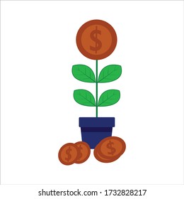 Growing money tree and white background