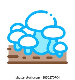growing mushroom icon vector. growing mushroom sign. color symbol illustration