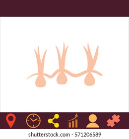 Growing onions  icon. Vector design.