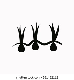 Growing onions  icon Vector design.