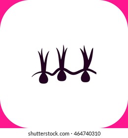Growing onions vector icon on white background.