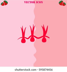Growing onions vector  icon. Strawberry Background.
