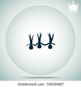 Growing onions  vector illustration.