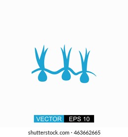 Growing onions vector. Isolated blue icon on white background.