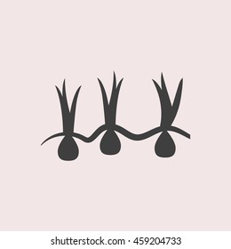 Growing onions web icon. Isolated illustration