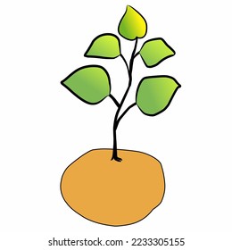 Growing orange tree, green leaves, vector isolated object, vector elements isolated on a white background.
