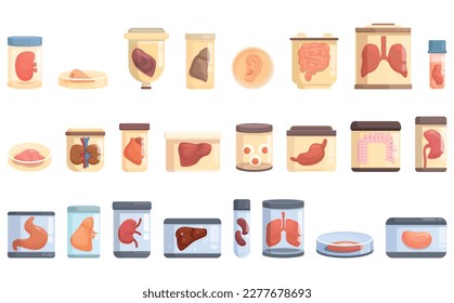 Growing Organs icons set cartoon vector. Human heart. Medicine mind