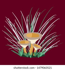 Growing oyster mushroom, summer mushrooms. Flat cartoon style. Vector illustration.