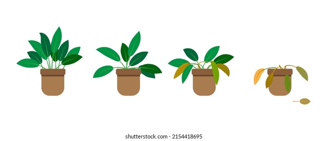 Growing phase flowerpot in flat style. Gardening concept. Vector illustration. Stock image.