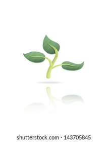 Growing plant