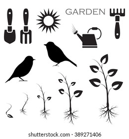 Growing plant, bird icons, garden set, black isolated on white background, vector illustration.