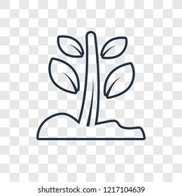 Growing Plant concept vector linear icon isolated on transparent background, Growing Plant concept transparency concept in outline style