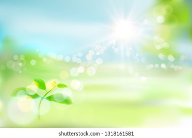 Growing plant. Fresh leaves. Green garden. Vector illustration.