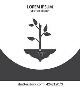 Growing plant icon on the background