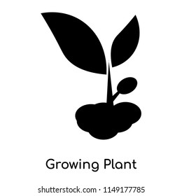 Growing Plant icon vector isolated on white background for your web and mobile app design, Growing Plant logo concept