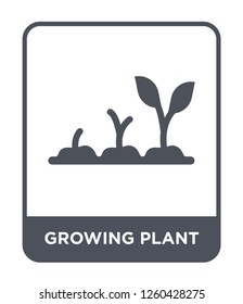 growing plant icon vector on white background., growing plant simple element illustration