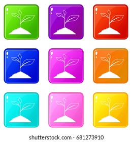 Growing plant icons of 9 color set isolated vector illustration