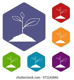 Growing plant icons set rhombus in different colors isolated on white background