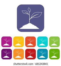 Growing plant icons set vector illustration in flat style in colors red, blue, green, and other