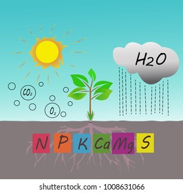 Growing plant include water,oxygen,Hydrogen and fertilizer