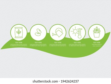 Growing a Plant - Infographic icons