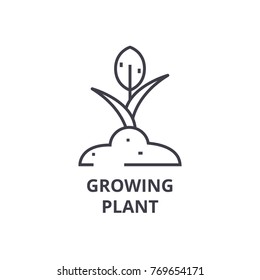 growing plant line icon, outline sign, linear symbol, vector, flat illustration