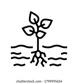 Pflanzensymbol-Vektorgrafik. Pflanzennetz. isoliertes Kontursymbol