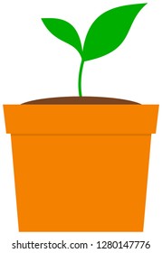 Growing plant in a pot. Vector illustration.