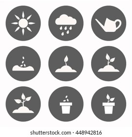 Growing of a plant scheme in symbols. Garden flat icon set
