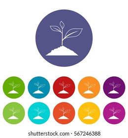 Growing plant set icons in different colors isolated on white background