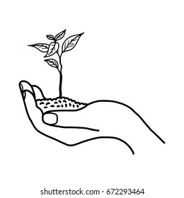 Growing plant or sprout with soil in left hand - vector illustration sketch hand drawn with black lines, isolated on white background