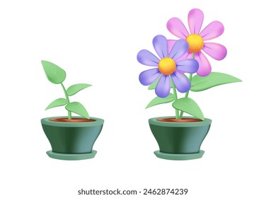 Growing plant stages. Seeds, sprout and flower, grown plant. House plant. 3D illustration of plant with leaves, flowers and fruit. Grow process.