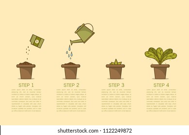 Growing Plant Stages. Seeds, Watering Can, Sprout And Grow Plant. House Plant In Flower Pot. Line Style Flat Vector Illustration Of House Plant With Leaves In Pot. Thin Lines. Grow Process.