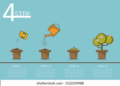 Growing plant stages. Seeds, watering can, sprout and grow plant. House plant in flower pot. Line style flat vector illustration of house plant with leaves in pot. Thin lines. Grow process.