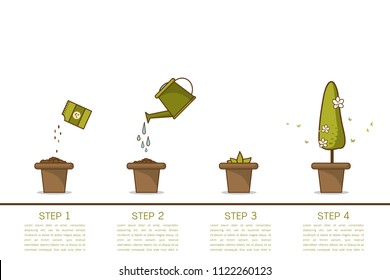 Growing plant stages. Seeds, watering can, sprout and grow plant. House plant in flower pot. Line style flat vector illustration of house plant with leaves in pot. Thin lines. Grow process.