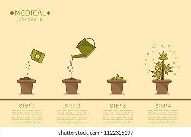 Growing plant stages. Seeds , watering can, sprout and grow cannabis plant. House plant in flower pot. Line style flat vector illustration of house plant with leaves in pot. Thin lines. Grow process.