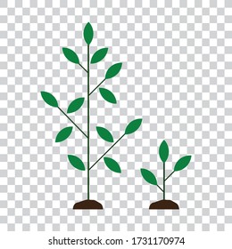 Growing plant, tree, isolated, vector illustration.