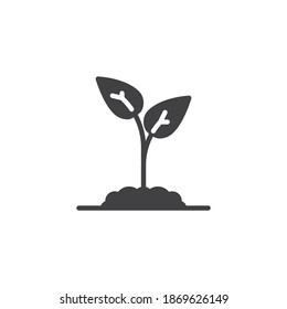 Growing plant vector icon. filled flat sign for mobile concept and web design. Plant in soil glyph icon. Symbol, logo illustration. Vector graphics