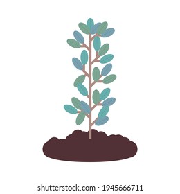 Growing plant Vector illustration in flat design Plant branch with green leaves in soil isolated on white background
