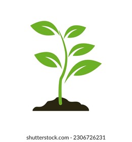 Growing plant vector illustration on white background.