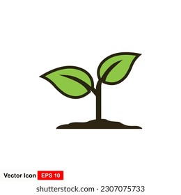 Growing plant vector illustration on white background