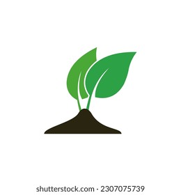 Growing plant vector illustration on white background