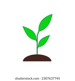 Growing plant vector illustration on white background