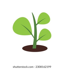 Growing plant vector illustration on white background