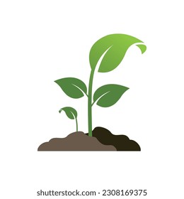 Growing plant vector illustration on white background.