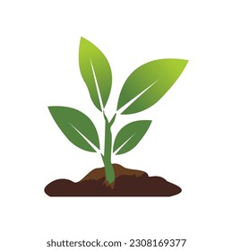 Growing plant vector illustration on white background.