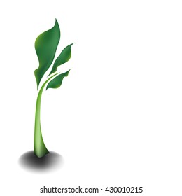 Growing plant vector illustration, world environment day