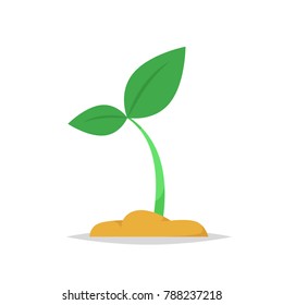 Growing plant vector isolated